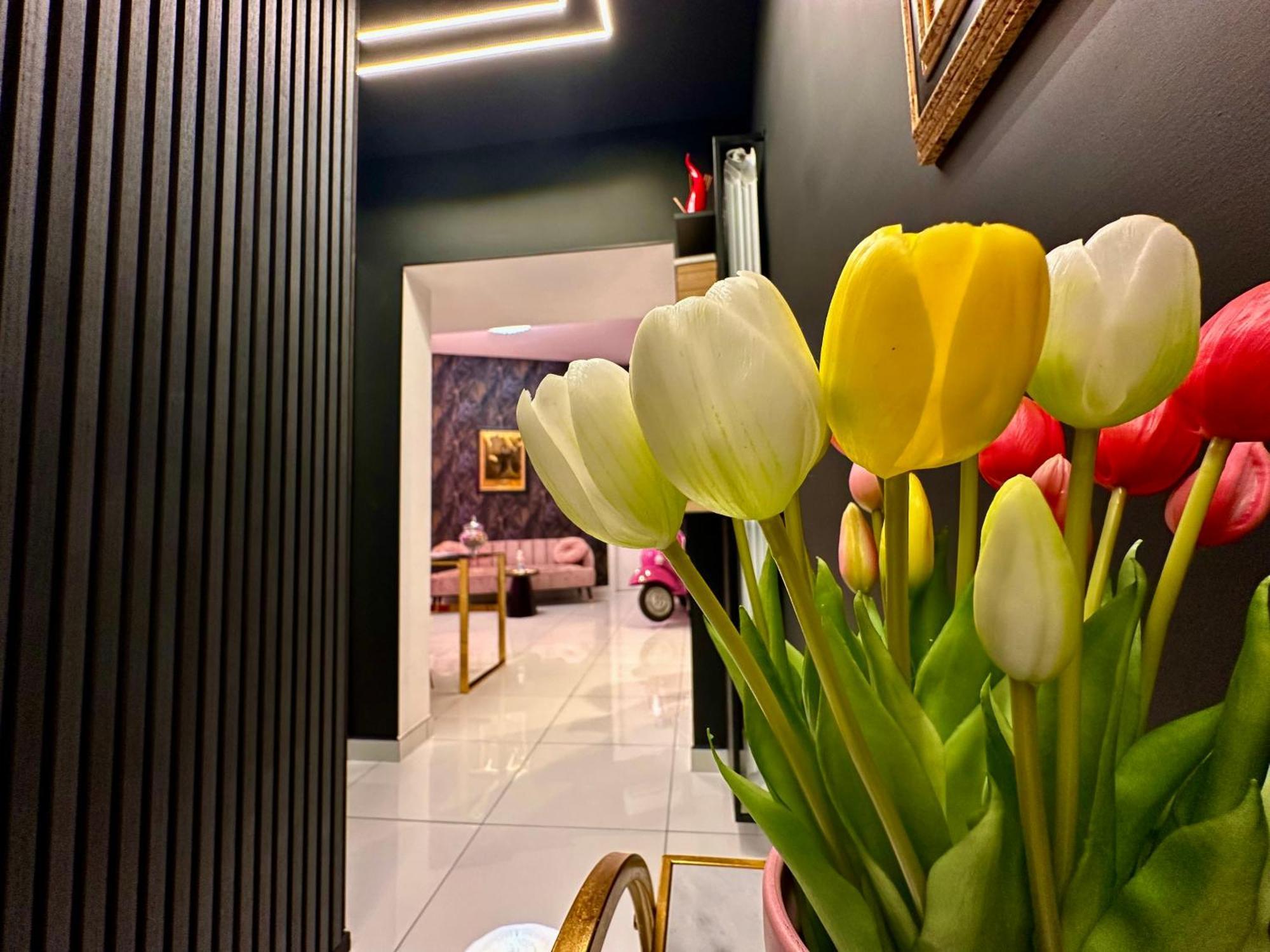 Elegance Rooms Spaccanapoli エクステリア 写真